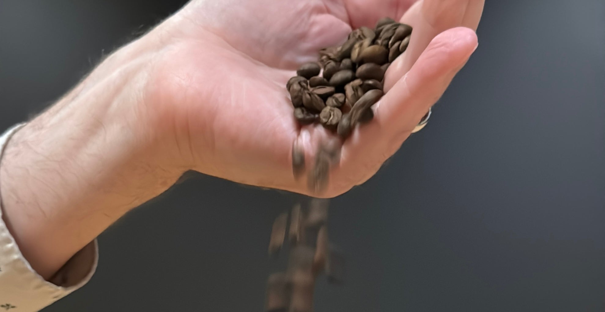Hand holding coffee beans with a dark background