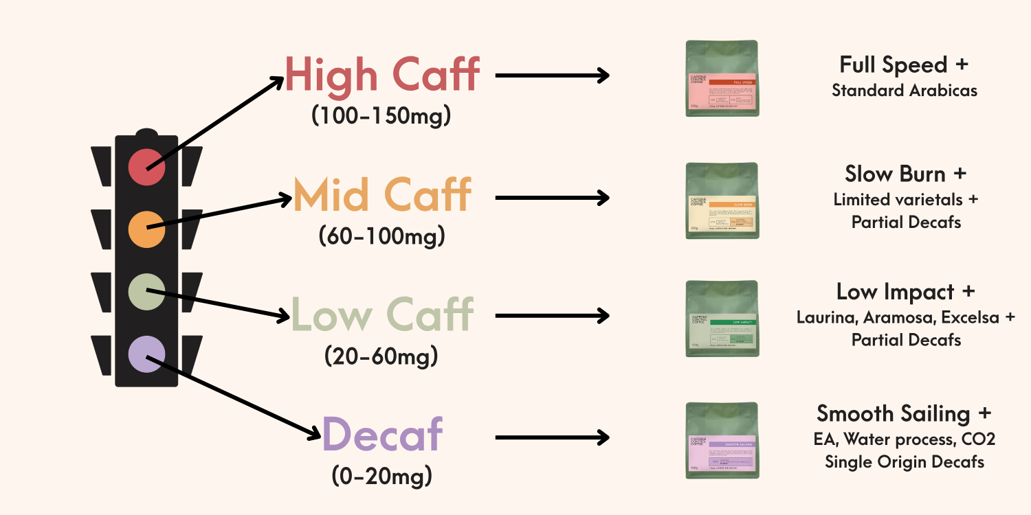 Colour based coffee caffeine content scale with corresponding coffee types on a white background